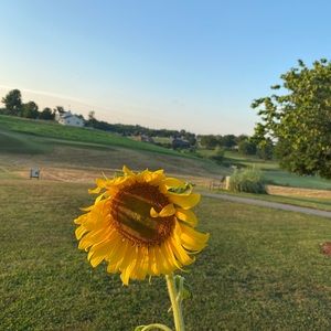 Meet your Posher, Summer